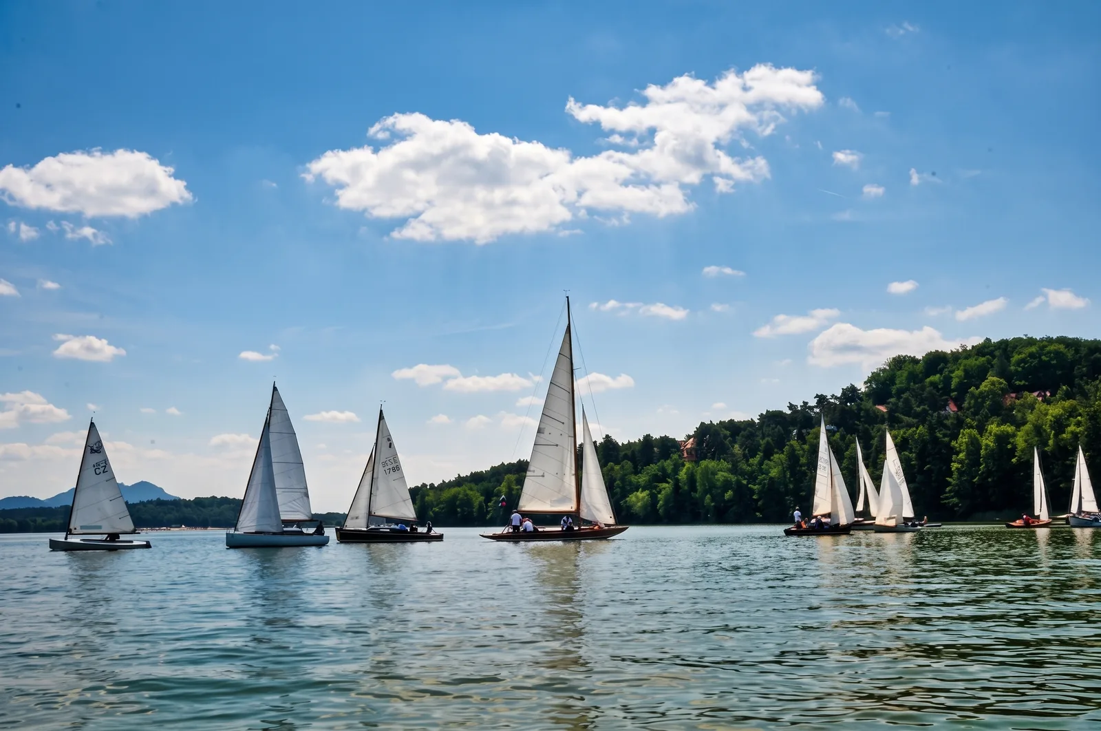 Regatta RUT Classic